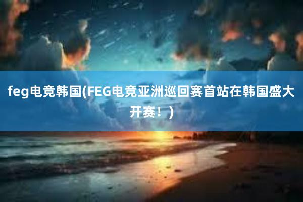 feg电竞韩国(FEG电竞亚洲巡回赛首站在韩国盛大开赛！)