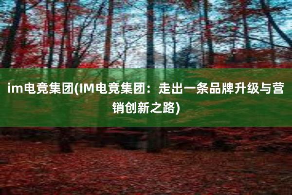 im电竞集团(IM电竞集团：走出一条品牌升级与营销创新之路)