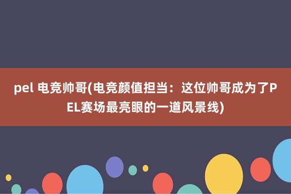 pel 电竞帅哥(电竞颜值担当：这位帅哥成为了PEL赛场最亮眼的一道风景线)