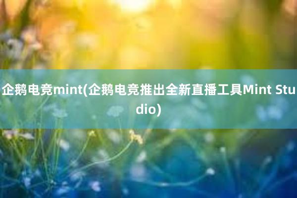 企鹅电竞mint(企鹅电竞推出全新直播工具Mint Studio)