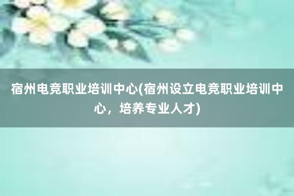 宿州电竞职业培训中心(宿州设立电竞职业培训中心，培养专业人才)