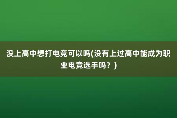 没上高中想打电竞可以吗(没有上过高中能成为职业电竞选手吗？)