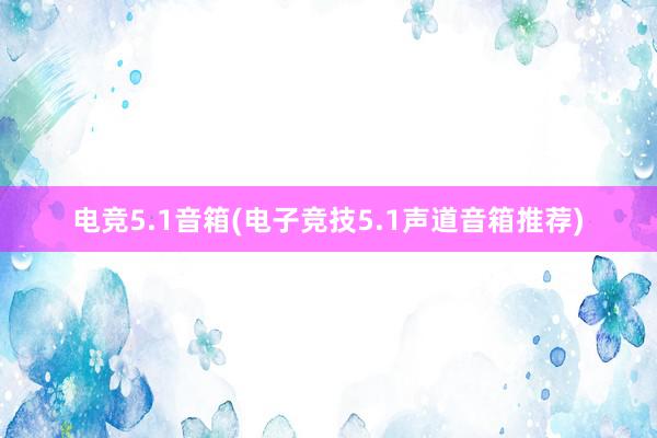 电竞5.1音箱(电子竞技5.1声道音箱推荐)