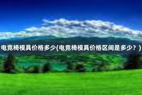 电竞椅模具价格多少(电竞椅模具价格区间是多少？)