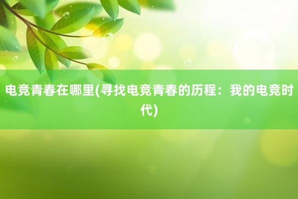 电竞青春在哪里(寻找电竞青春的历程：我的电竞时代)