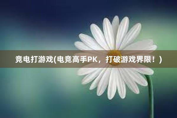 竞电打游戏(电竞高手PK，打破游戏界限！)