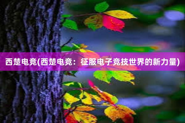 西楚电竞(西楚电竞：征服电子竞技世界的新力量)