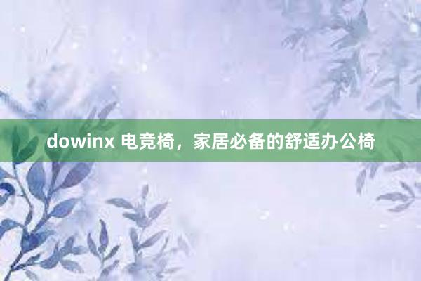 dowinx 电竞椅，家居必备的舒适办公椅