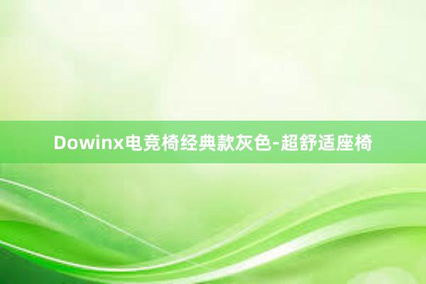 Dowinx电竞椅经典款灰色-超舒适座椅