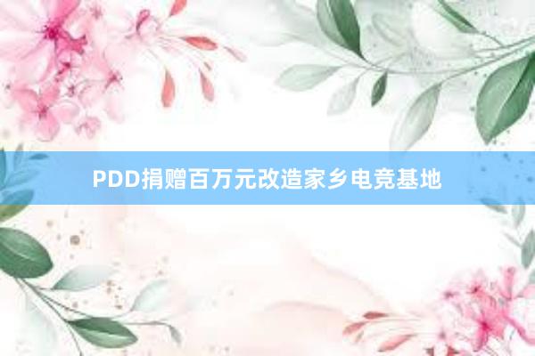 PDD捐赠百万元改造家乡电竞基地