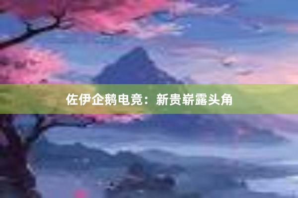 佐伊企鹅电竞：新贵崭露头角