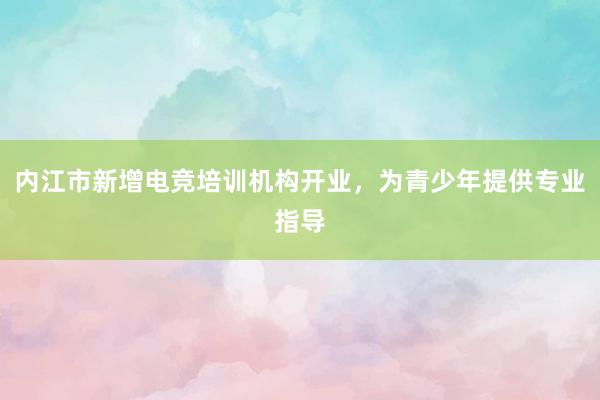 内江市新增电竞培训机构开业，为青少年提供专业指导