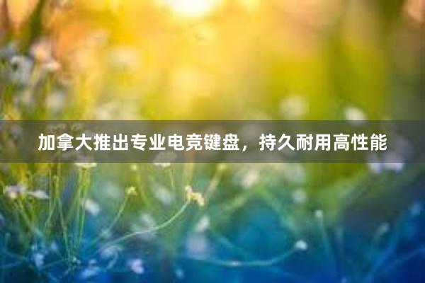 加拿大推出专业电竞键盘，持久耐用高性能