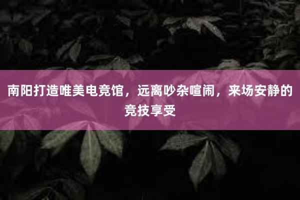 南阳打造唯美电竞馆，远离吵杂喧闹，来场安静的竞技享受