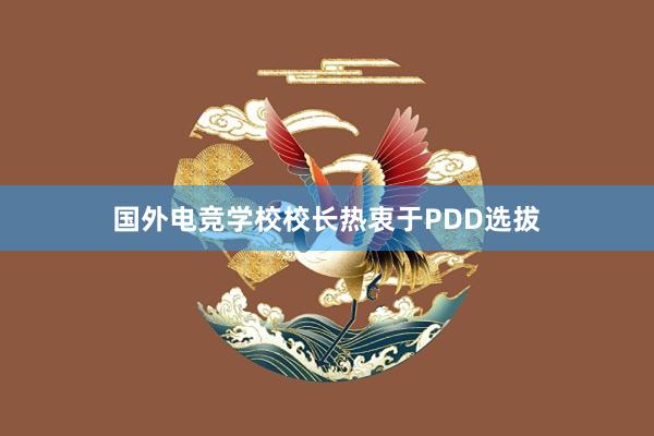 国外电竞学校校长热衷于PDD选拔