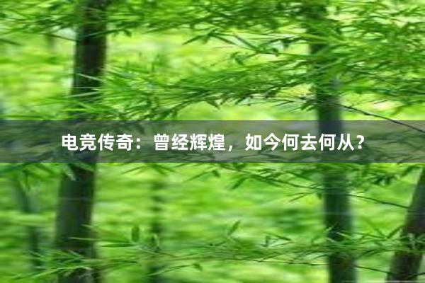 电竞传奇：曾经辉煌，如今何去何从？