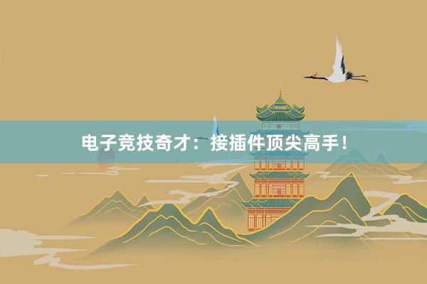 电子竞技奇才：接插件顶尖高手！