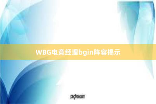 WBG电竞经理bgin阵容揭示