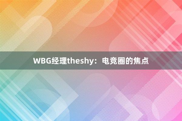 WBG经理theshy：电竞圈的焦点