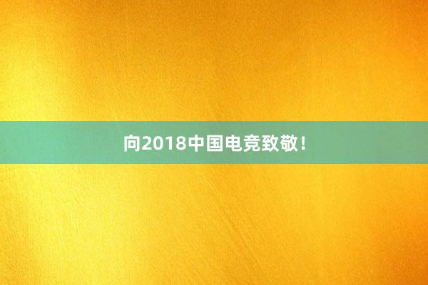 向2018中国电竞致敬！