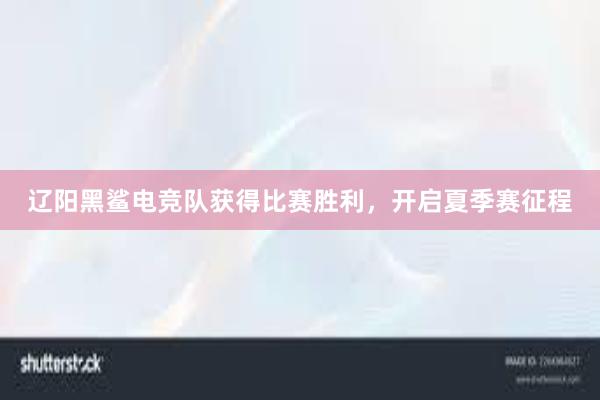 辽阳黑鲨电竞队获得比赛胜利，开启夏季赛征程