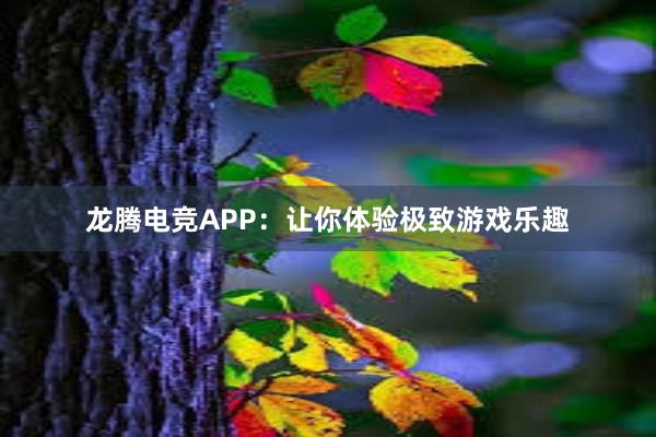 龙腾电竞APP：让你体验极致游戏乐趣